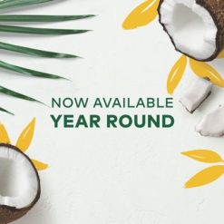 Alternative view of Keurig K-Cup Coffee Island Coconut Coffee